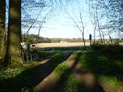 Forår ved Åløsevej