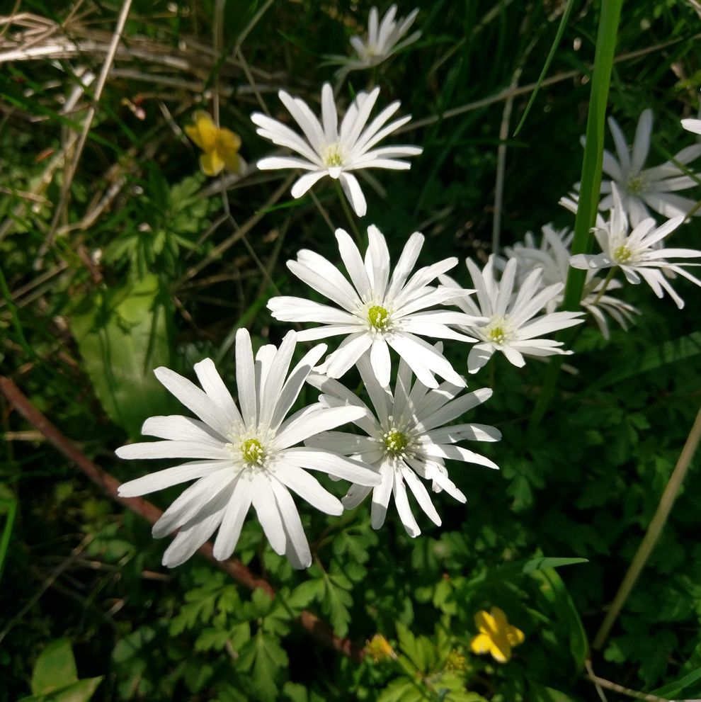 IMAG0043
